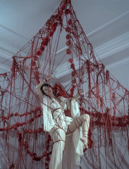 免费欧美精品xxxx_1080P在线手机播放